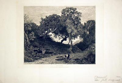 Solitude