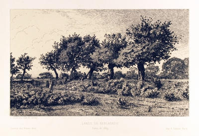 Lande de Kerlagadic