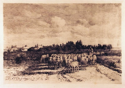 Troupeau de Moutons