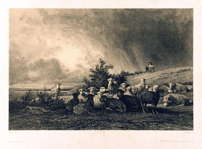 Le Troupeau de Moutons