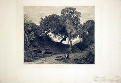 Solitude