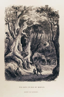 Vue dans un Bois du Morvan
