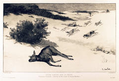 Biche Forcée sur la Neige