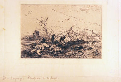 Troupeau de Cochons