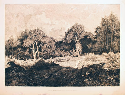 Vue du Val de Gruye, dans la Foret de Marly