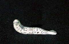 Seal (Spotted)