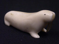 Walrus
