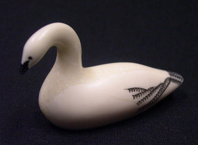 Swan