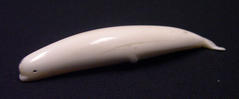Whale (Beluga)