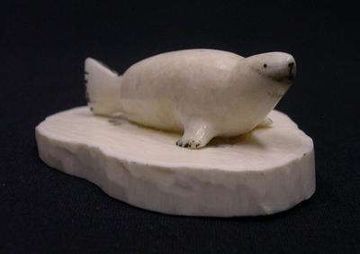 Seal on Base
