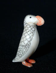 Puffin