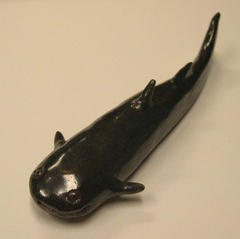 Catfish (large)