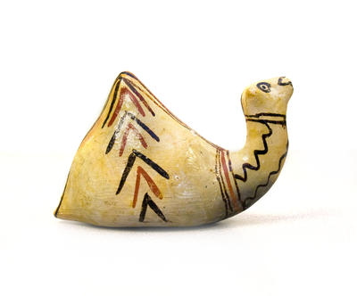 Sejenuine Camel