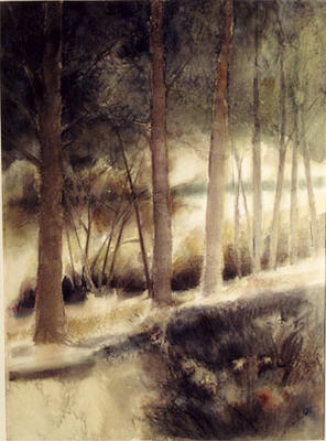 View of Pillsbury Point