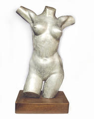 Torso