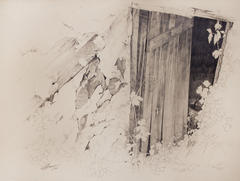 Vines on Shed
