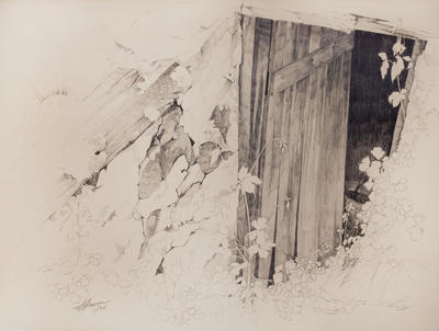Vines on Shed
