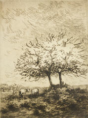 Paysage