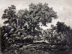 La Hutte, Forêt De Fontainebleau