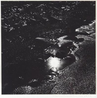 Shore Reflections