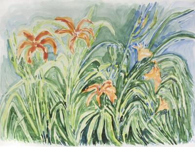 Lillies