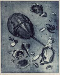 Anatomy of the Sea