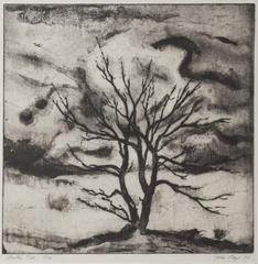 Winter Tree