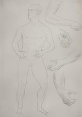 Male Nude and Study of Hands