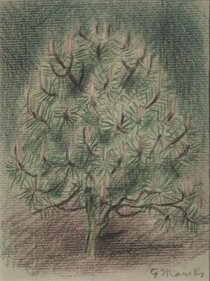Tree with Blossoms