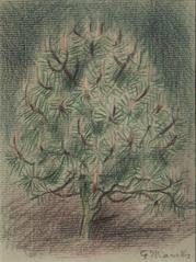 Tree with Blossoms