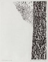 Cottonwood