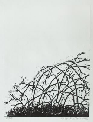 Vine