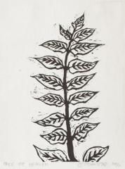 Tree of Heaven 