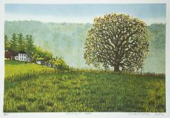 Pasture Oak