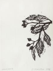 Hawthorne