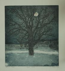 Silent Snow
