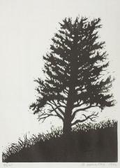 Yew