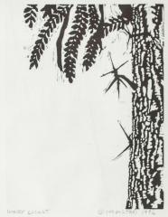 Honey Locust