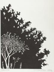 Dogwood