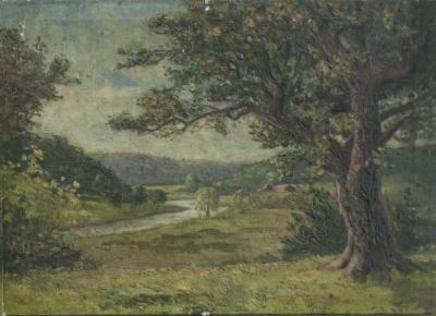 Oneota Valley From Luther College