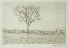 Lone Tree