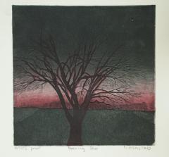 Evening Star