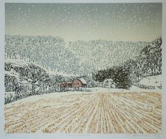 Snowstorm