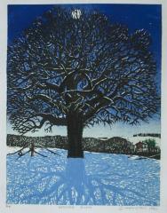 Winter Moon