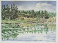 Rippling Water