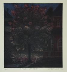 Maple Street