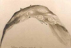 Patterns of Decay: Agave 1966