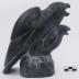 Two Gyrfalcons (or Peregrine Falcons)