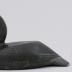 Arctic Loon