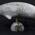Narwhal